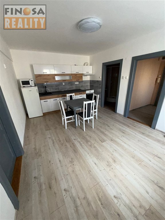 Pronájem bytu 1+1+L v osobním vlastnictví v Ústí nad LabemKlíše, ul. Klíšská