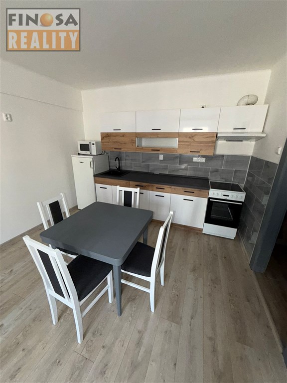 Pronájem bytu 1+1+L v osobním vlastnictví v Ústí nad LabemKlíše, ul. Klíšská