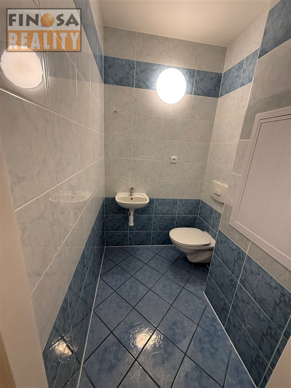 Velký byt 4+1+L (podl.pl. 104 m2) k nájmu v Ústí nad Labem, Klíše, ul. Klíšská